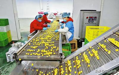 在鄉(xiāng)下辦廠有什么好項目(投資3萬以內(nèi)的小生意)